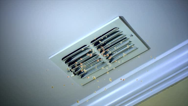 Best HVAC System Cleaning  in Minor, AL