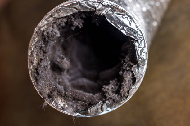 Best Affordable Air Duct Cleaning  in Minor, AL